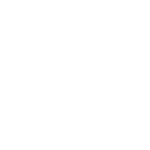 Artis-Reit-1