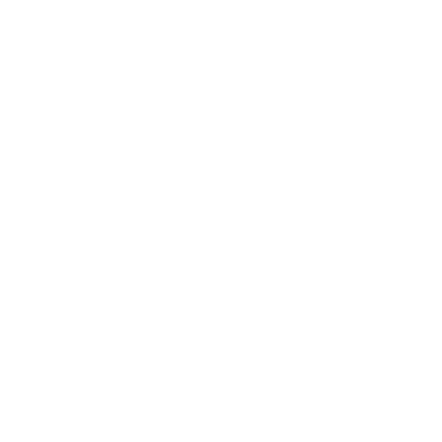 gondola pizza